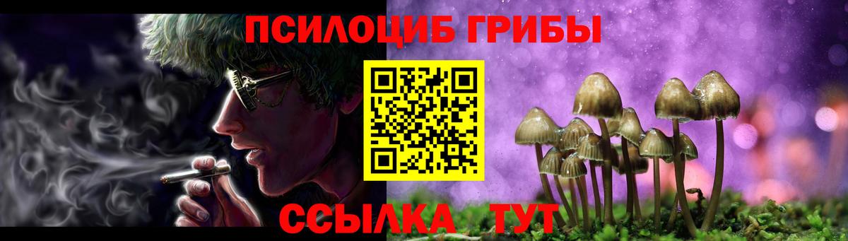 дарнет шоп  Вход с VPN  Серов  Псилоцибиновые грибы Psilocybine cubensis 